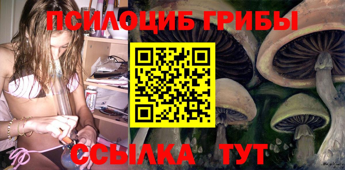 Псилоцибиновые грибы Psilocybine cubensis  Галлюциногенные грибы мухоморы  Вход с VPN  Зеленокумск 