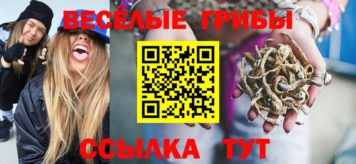 Псилоцибиновые грибы прущие грибы Зеленокумск